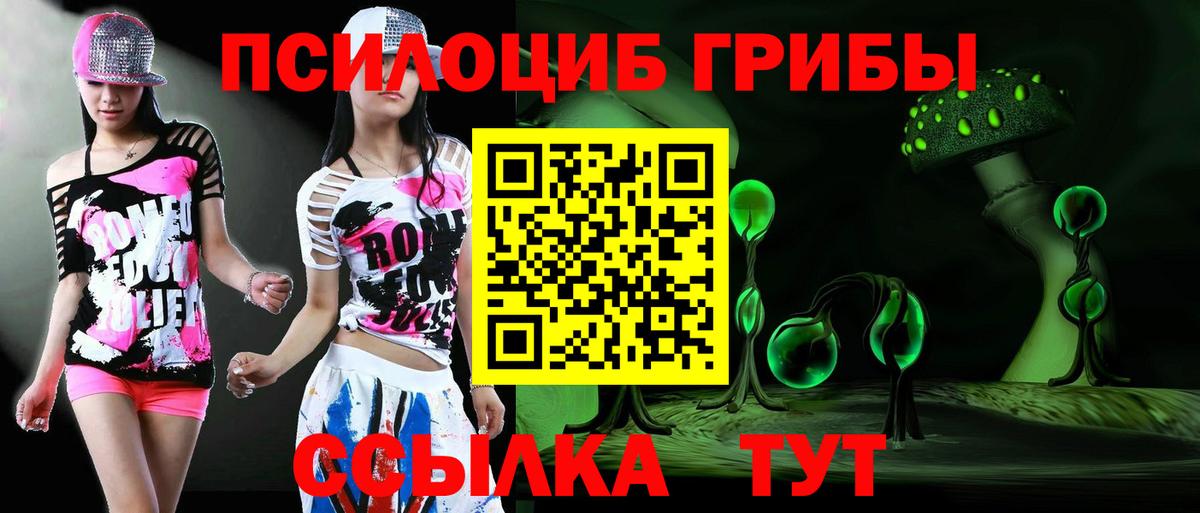 Псилоцибиновые грибы GOLDEN TEACHER  Вход с VPN  Галлюциногенные грибы Psilocybine cubensis  Аша 